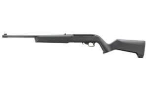Ruger 10/22 .22LR